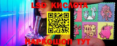 шишки Можга