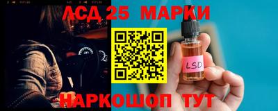 шишки Можга