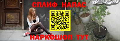 прущие грибы Можайск