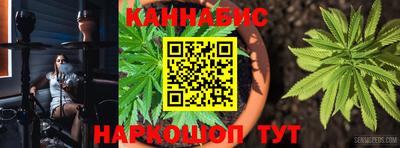 прущие грибы Можайск