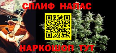 прущие грибы Можайск