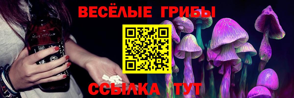 Энгельс  Псилоцибиновые грибы Psilocybine cubensis  Вход с VPN 